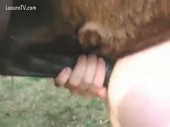 A skinny, amateur stud is having a huge horse wang rammed up his butt.